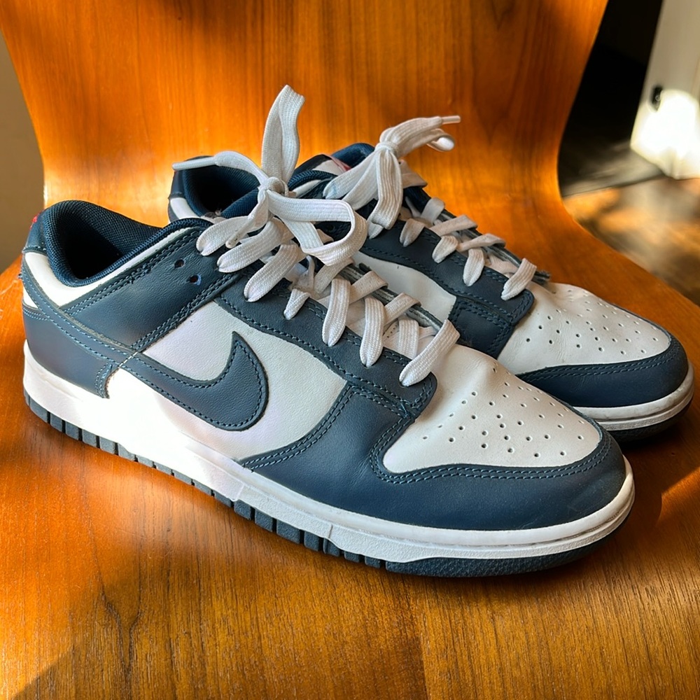 Brand New Nike Dunks